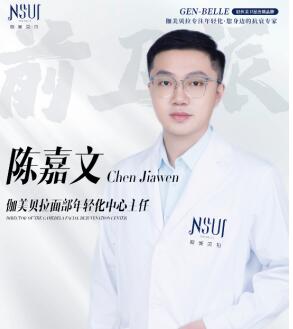 陈嘉文