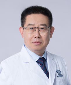高磊