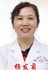 杨发菊